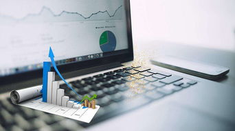 綠專資本助泰鵬環保啟動上市輔導，網絡技術開發能否扭轉利潤下滑局面？